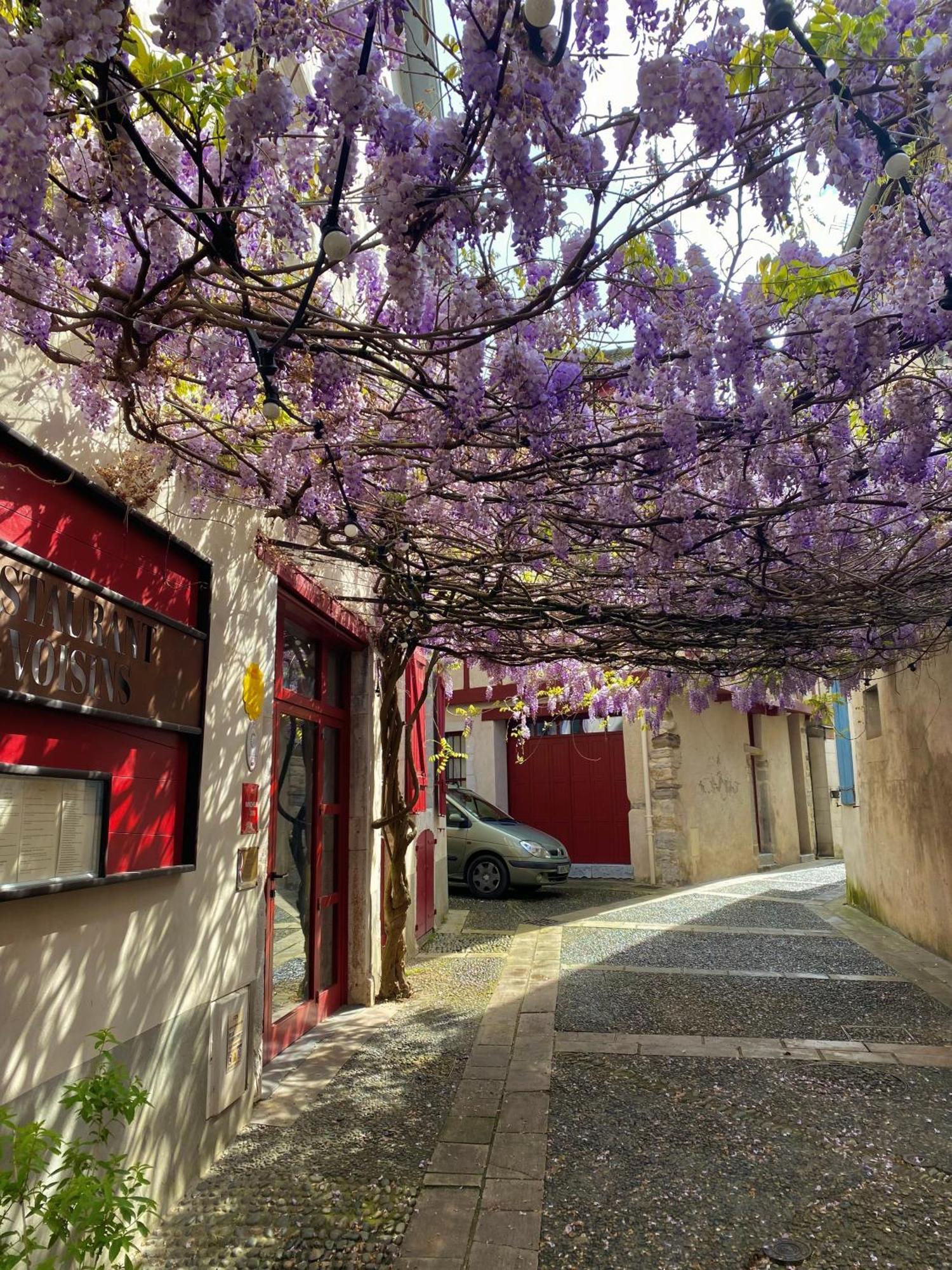 Salies-de-Béarn Agreable Petit Gite Avec Piscine Et Jardinet מראה חיצוני תמונה